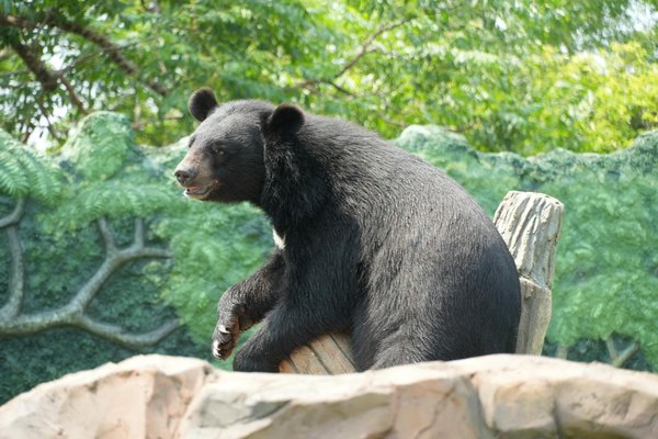 L'amour à la française : Véritable passion ou simple stéréotype ?